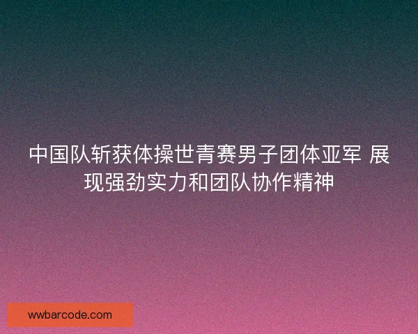中国队斩获体操世青赛男子团体亚军 展现强劲实力和团队协作精神